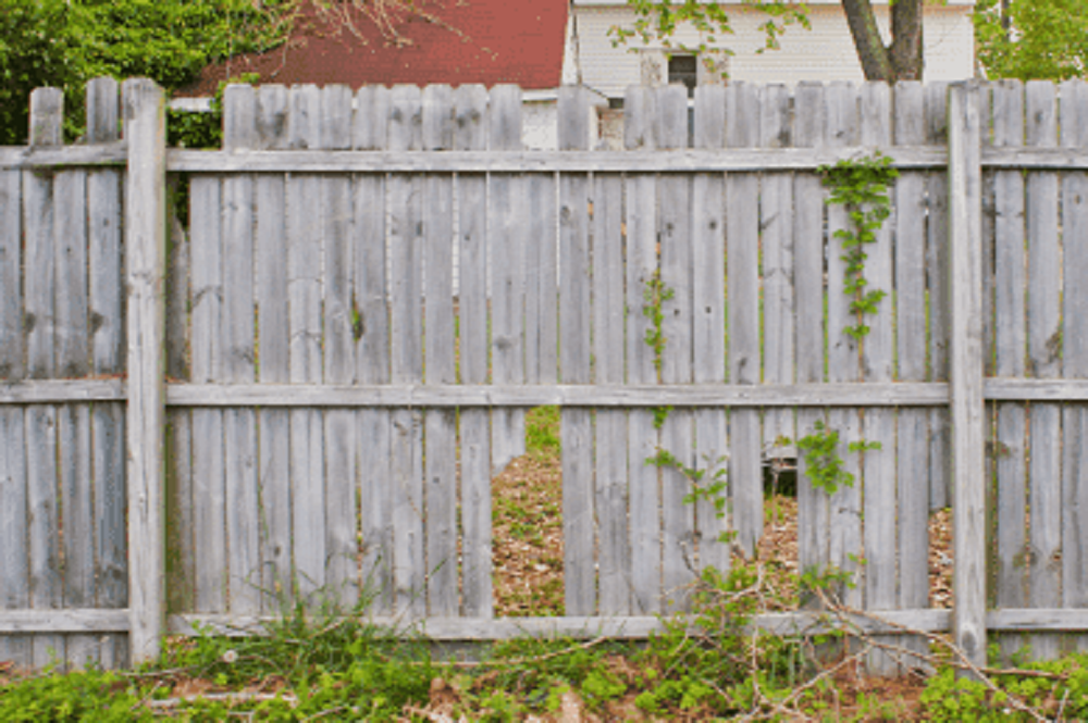 Backyard Fence Repair? or Replacement? What Should You Do?